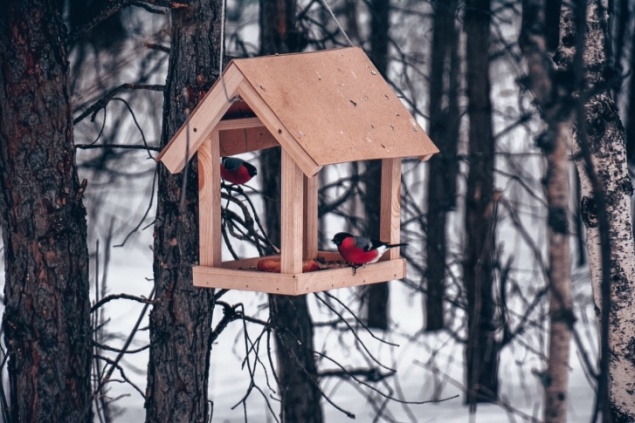 Аномальные +19: смотрим, какой будет следующая неделя в Красноярске