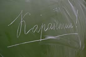 Красноярские родители жалуются на дистанционные уроки в школах