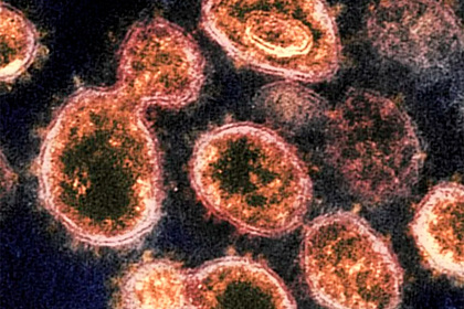 Раскрыт единственный надежный способ борьбы с пандемией