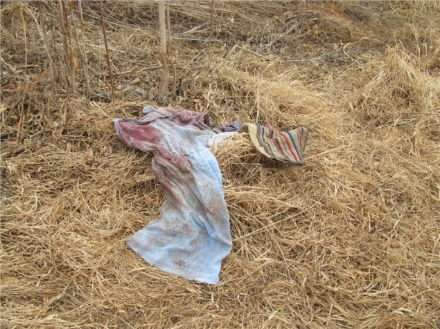 СК опубликовал кадры с места обнаружения тела ребенка в Минусинске и попросили помочь найти его родителей