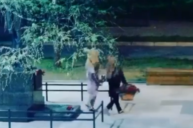 «Поросячий поступок»: девушки под покровом ночи унесли корзины с цветами от памятника ветерану