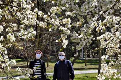 В Белоруссии заявили о выходе на плато по коронавирусу