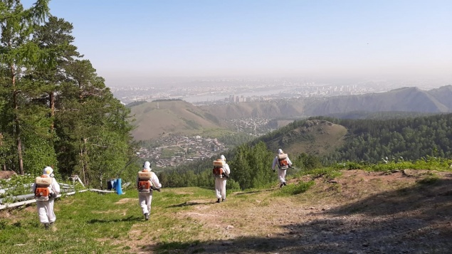Красноярский «Бобровый лог» обработали от клещей