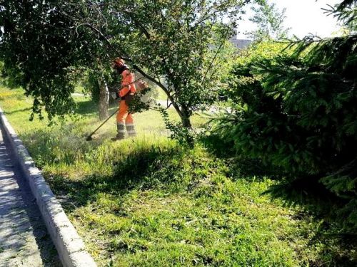 В Ачинске стартовал сезон покоса травы (график работы «зеленых парикмахеров» на июнь 2020 года)