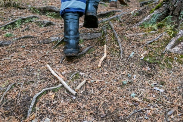 В деле убитой в Шушенском районе школьницы появились новые факты. Год назад ее изнасиловали, а потом угрожали расправой