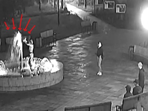 В сквере «Металлургов» камеры наружного видеонаблюдения зафиксировали «пенный» инцидент