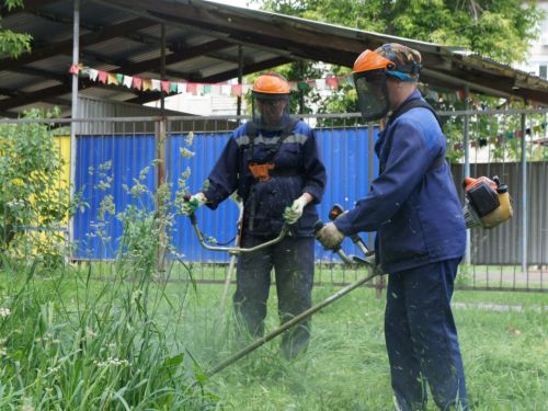 В Ачинске продолжается сезон покоса травы (график работы «зеленых парикмахеров» на июль 2020 года)