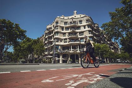 Раскрыта правда о появлении коронавируса