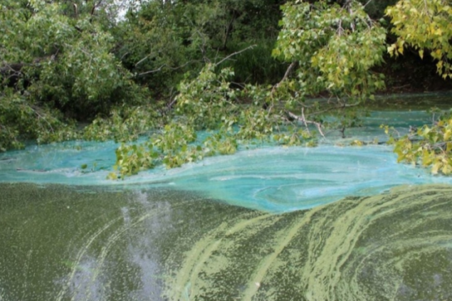 Рыбаки обнаружили в реке Чулым вещество ярко-бирюзового цвета