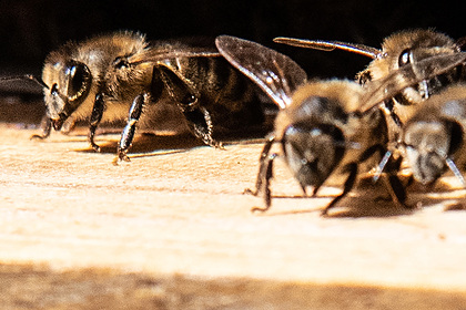 Найден способ решить одну из важнейших проблем мира