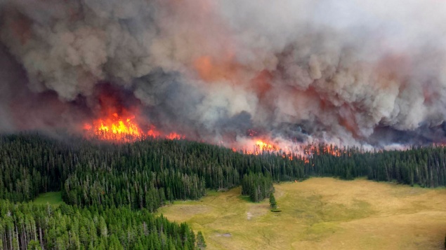 Прокуратура начала проверку из-за увеличения площади пожаров в Красноярском крае, а самолет МЧС улетел тушить лес в районе Анапы