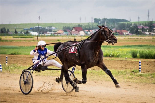 14-летний красноярец стал победителем сибирского молодежного чемпионата наездников