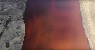 «Норникель» не согласен с методикой расчета Росприроднадзором ущерба от аварии в Норильске