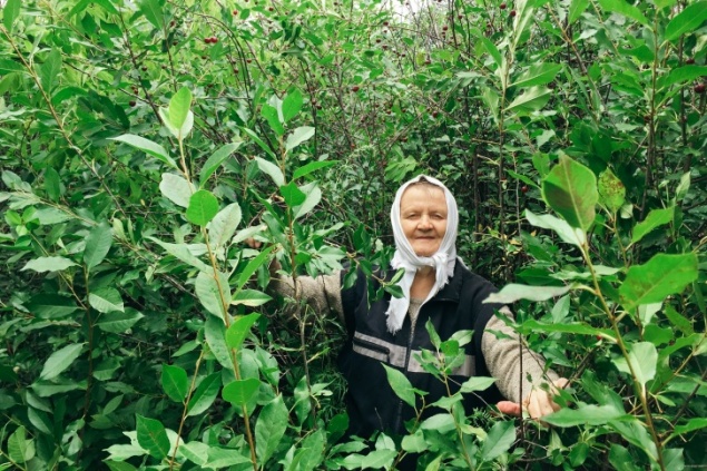 В следующем году в России вырастут пенсии. На 900 рублей