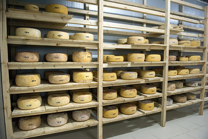 Назван самый популярный сыр у россиян