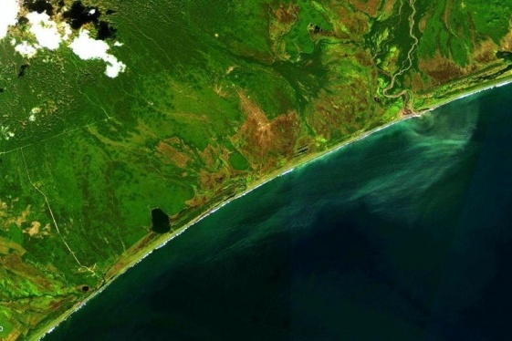 У властей Камчатки появились три версии экологической катастрофы