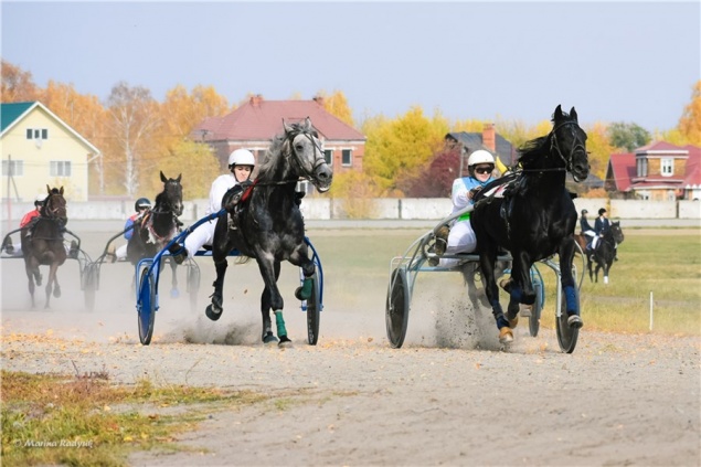 Наездницы из Красноярского края стали победительницами всероссийского чемпионата
