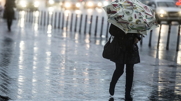 Синоптики пообещали потепление и дожди на новой неделе