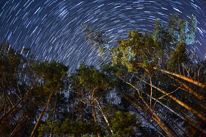 Астрофизик предупредил о столкновении с астероидом накануне выборов в США