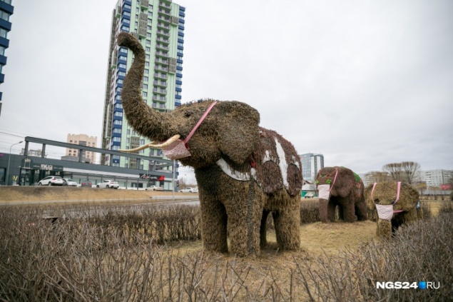 В Красноярске за сутки стало на 228 больных COVID больше