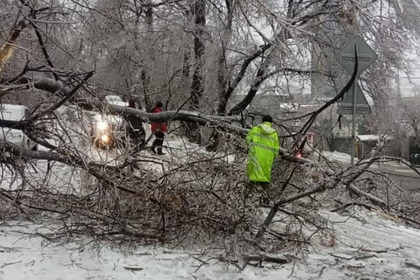 Ледяной дождь во Владивостоке парализовал город