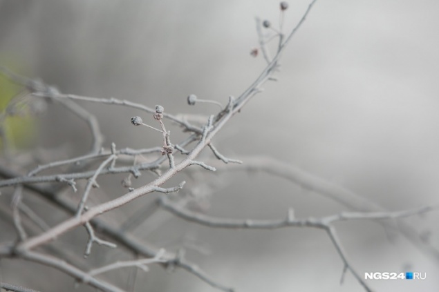 Потеплеет и засыпет снегом: погода в Красноярске на ближайшие выходные