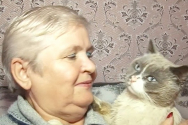 В Енисейске в семью вернулся кот спустя 2 года скитаний