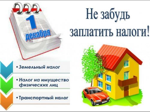 Срок уплаты транспортного, земельного и имущественного налогов физических лиц за 2019 год – не позднее 1 декабря 2020 года.