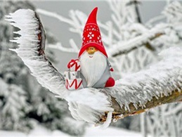 Более половины россиян решили тратить меньше на новогодние подарки