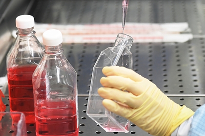 Вирусолог оценил эффективность вакцин против нового штамма коронавируса