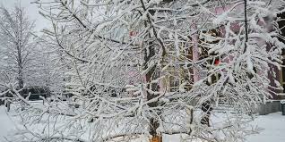 «Такой же долгий экстремальный холод был 14 лет назад»: синоптики прокомментировали погодные аномалии в Сибири