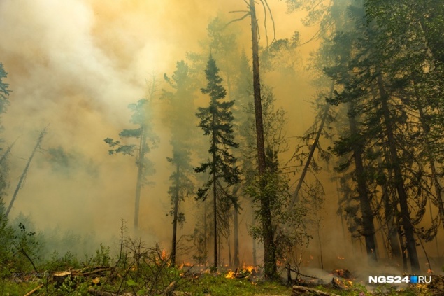 Тушение лесных пожаров с воздуха в этом году оценили в 168 тысяч рублей за летный час