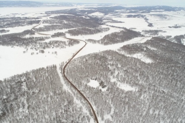 В Красноярском крае руководитель лесничества оформлял лесные участки на подставных лиц и попался