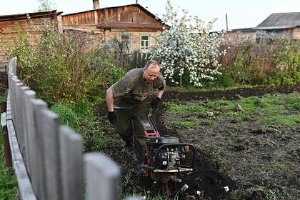 Врач назвал дачникам главное правило при работе в жару