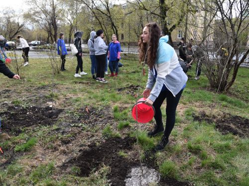 В Ачинске появились новые «Сады памяти»