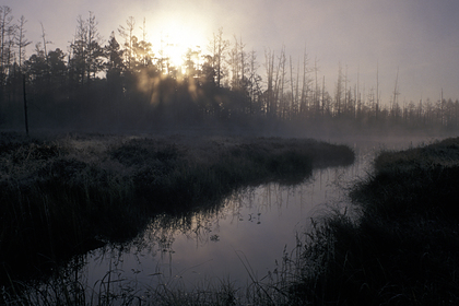 Трое малолетних братьев пропали на реке в Приморье