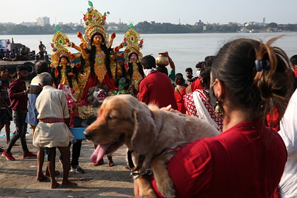 Россиянам разъяснили новые правила въезда в Индию