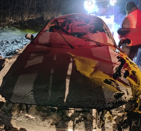 Дорожные полицейские Ачинска устанавливают обстоятельства ДТП, в котором погиб лось