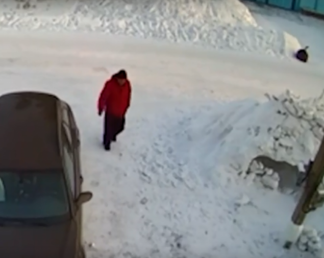 Вниманию граждан! Полиция Ачинска просит помощи в розыске подозреваемого в совершении кражи дорогостоящего телефона