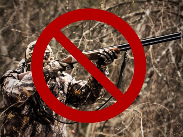 Новосибирских полицейских поймали на незаконной охоте на косуль