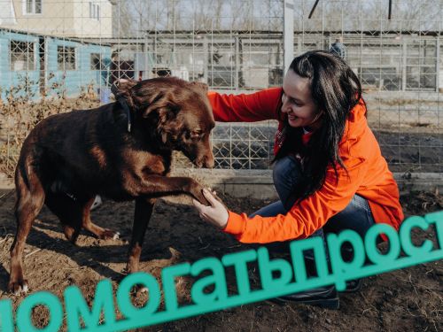 Семь волонтерских проектов в Ачинске стали победителями грантового конкурса РУСАЛа «Помогать просто»