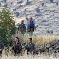 Курдские повстанцы похитили турецкого депутата