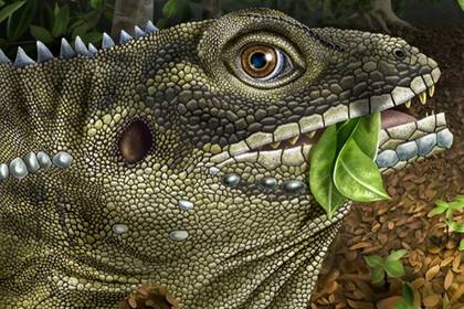 Гигантскую древнюю ящерицу назвали в честь Джима Моррисона