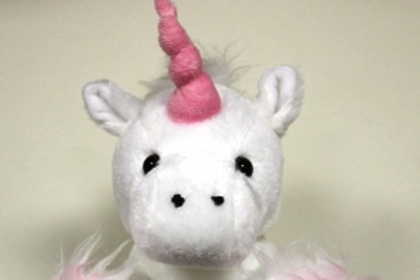 Девочка пересекла границу Турции по паспорту единорога