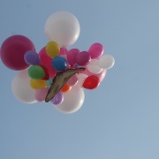 IMG_7605.JPG