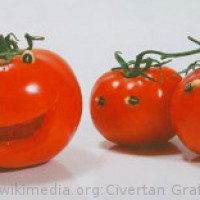 Британские ученые обнаружили ген счастья