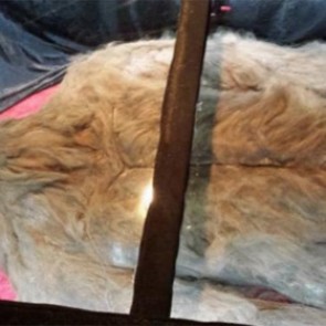 Мертвый снежный человек отправится в мировое турне