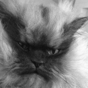 Скончался Полковник Мяу