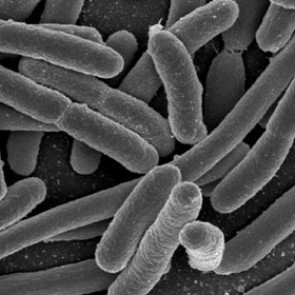 Правило «быстро поднятое упавшим не считается» нашло научное подтверждение