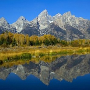 Дуров признан самым перспективным молодым бизнесменом Северной Европы